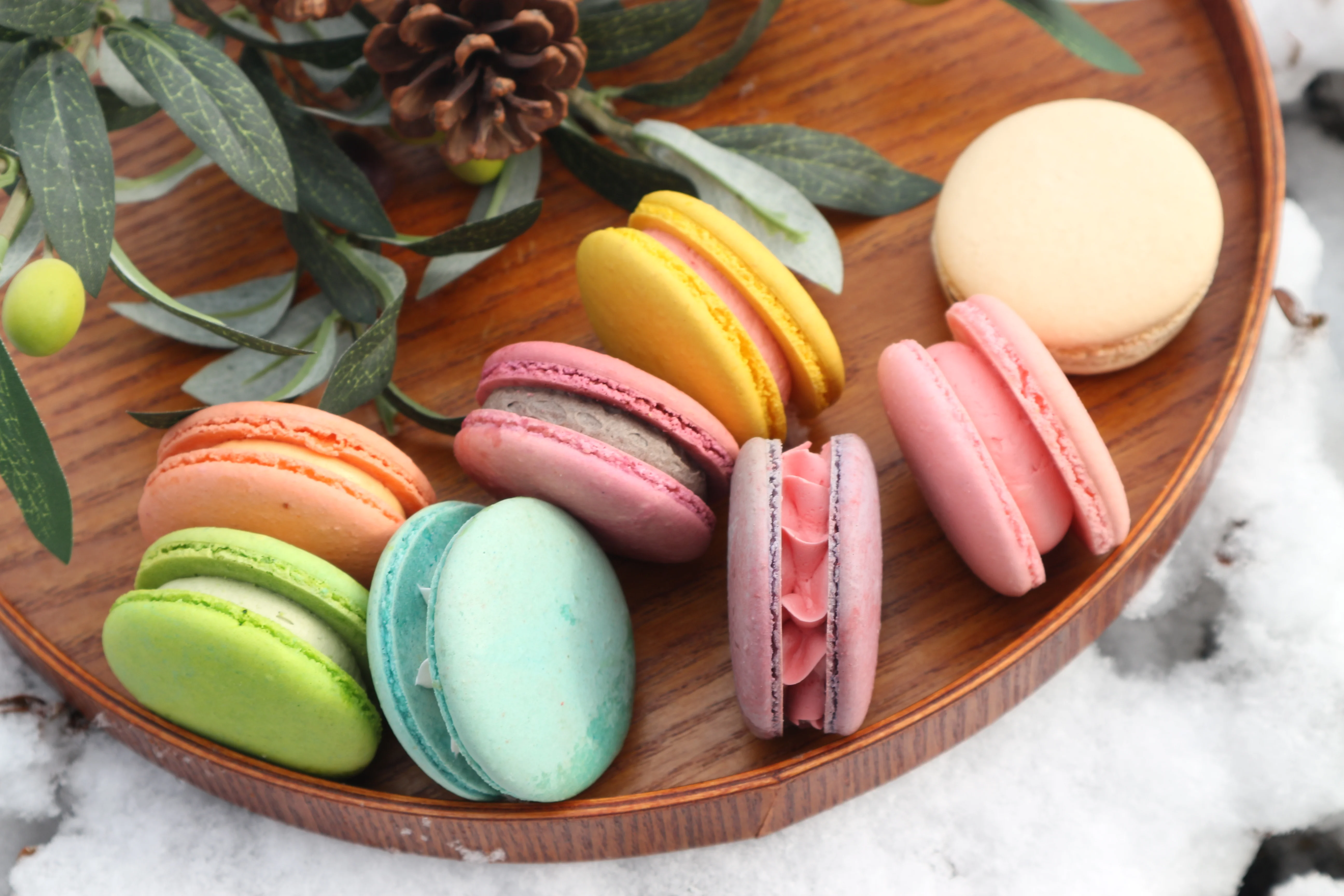 콩콩 프렌치 마카롱 12가지맛