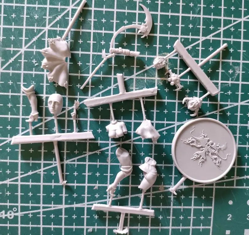 Buyer photo of this resin kit