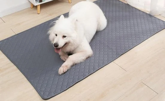 Customer review photo for Washable Reusable Dog Pee Pad