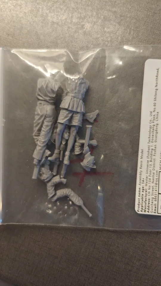 Buyer photo of this resin kit