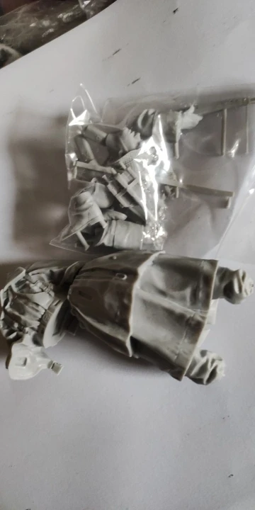 Buyer photo of this resin kit