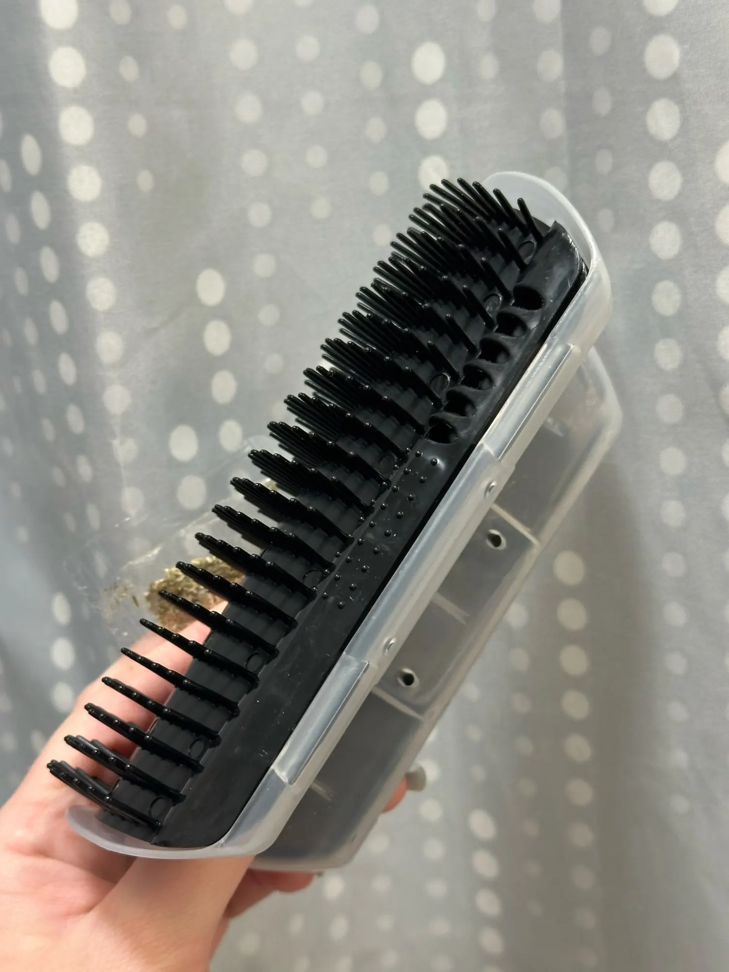 Photo sent by a buyer