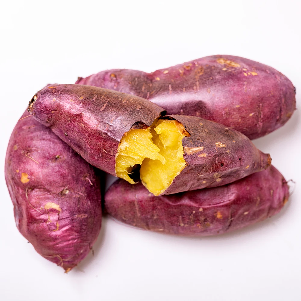 세척 꿀 고구마 중품