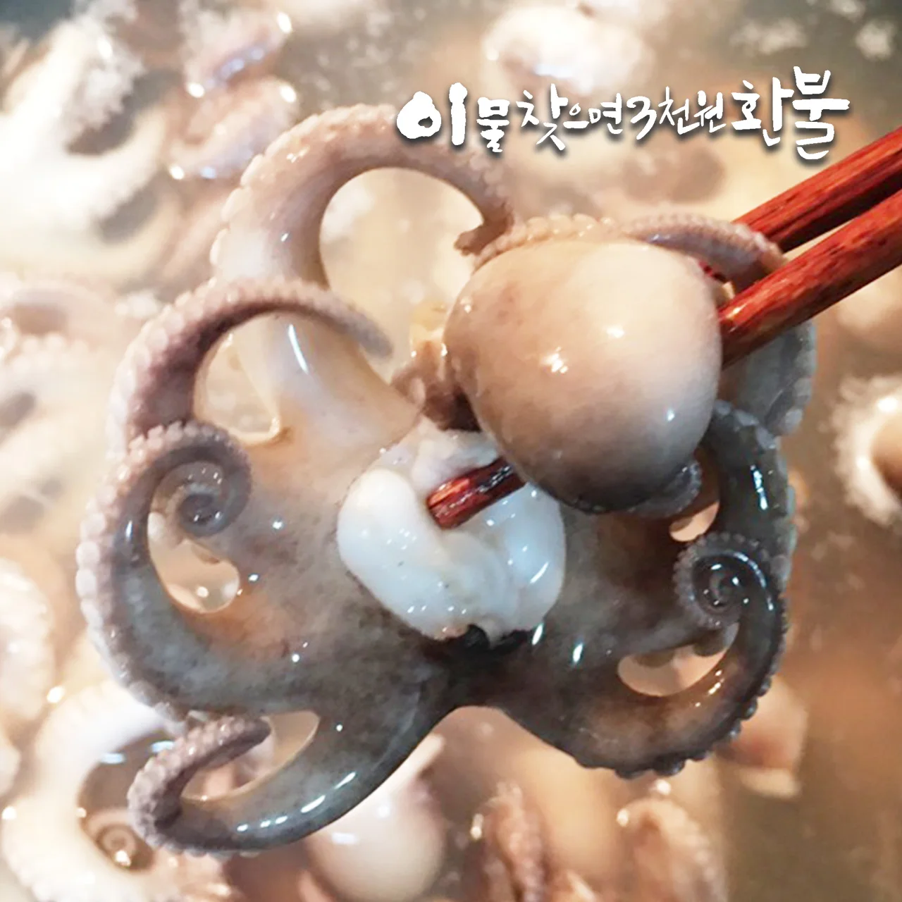 손질 특대(XL) 통주꾸미 750g(250g×3팩) 1팩기준 250g(6미)｜주꾸미볶음(자... - 3