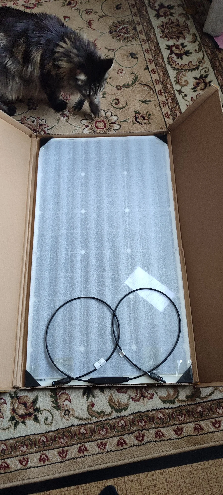 Flexible Solar Panel – Lightweight, Bendable & Waterproof (100W–600W) photo review