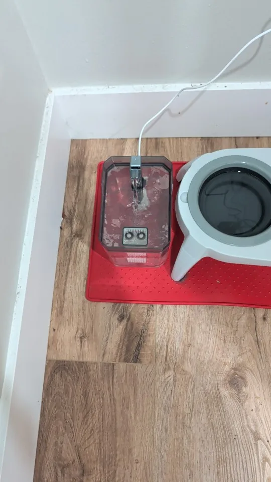 Customer review photo
