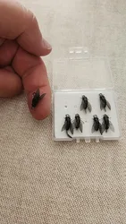 Imagen de reseña 1