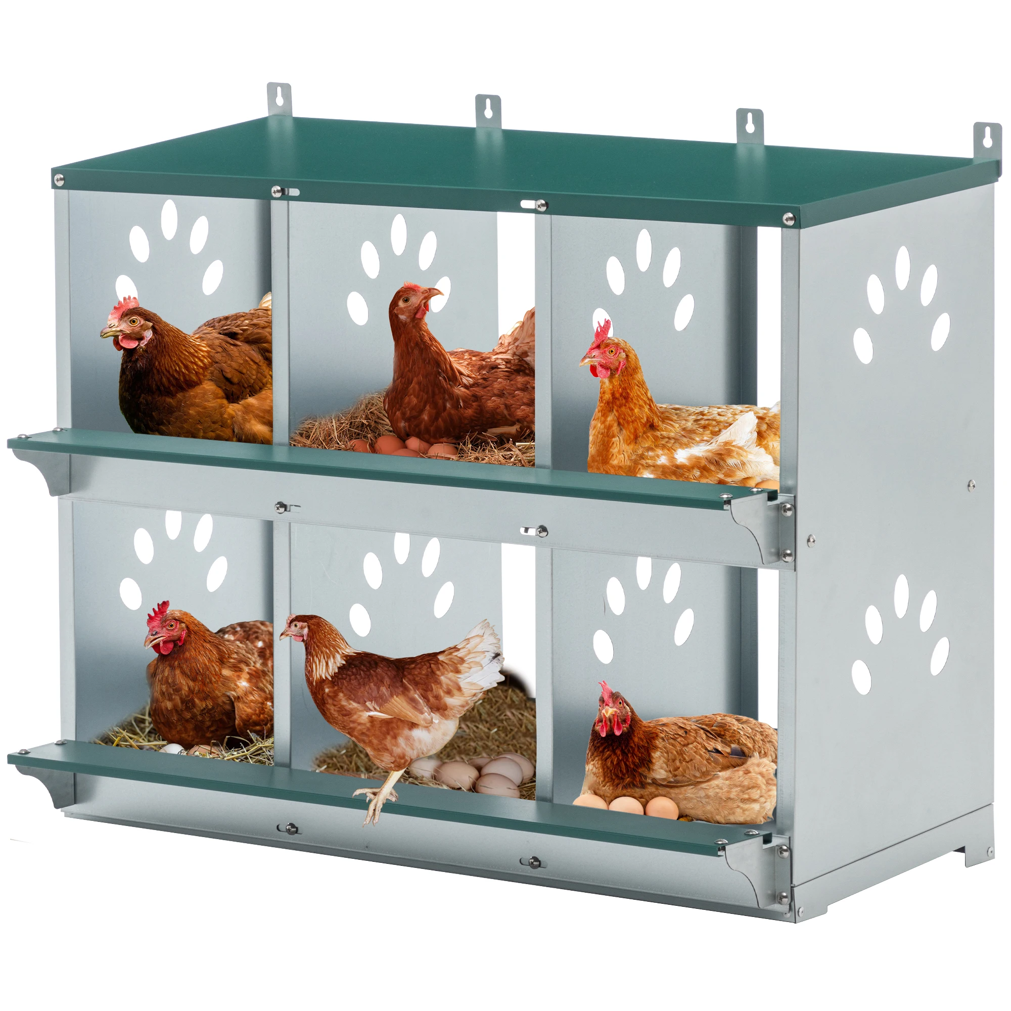 

6-room galvanized metal chicken nesting box for hens, durable design, easy to assemble and clean (6-Hole,Green)'