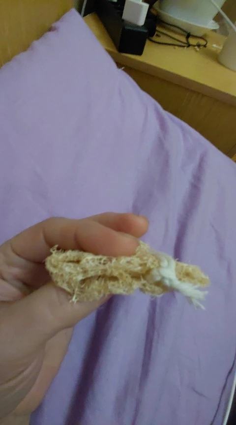 실물 포토 리뷰