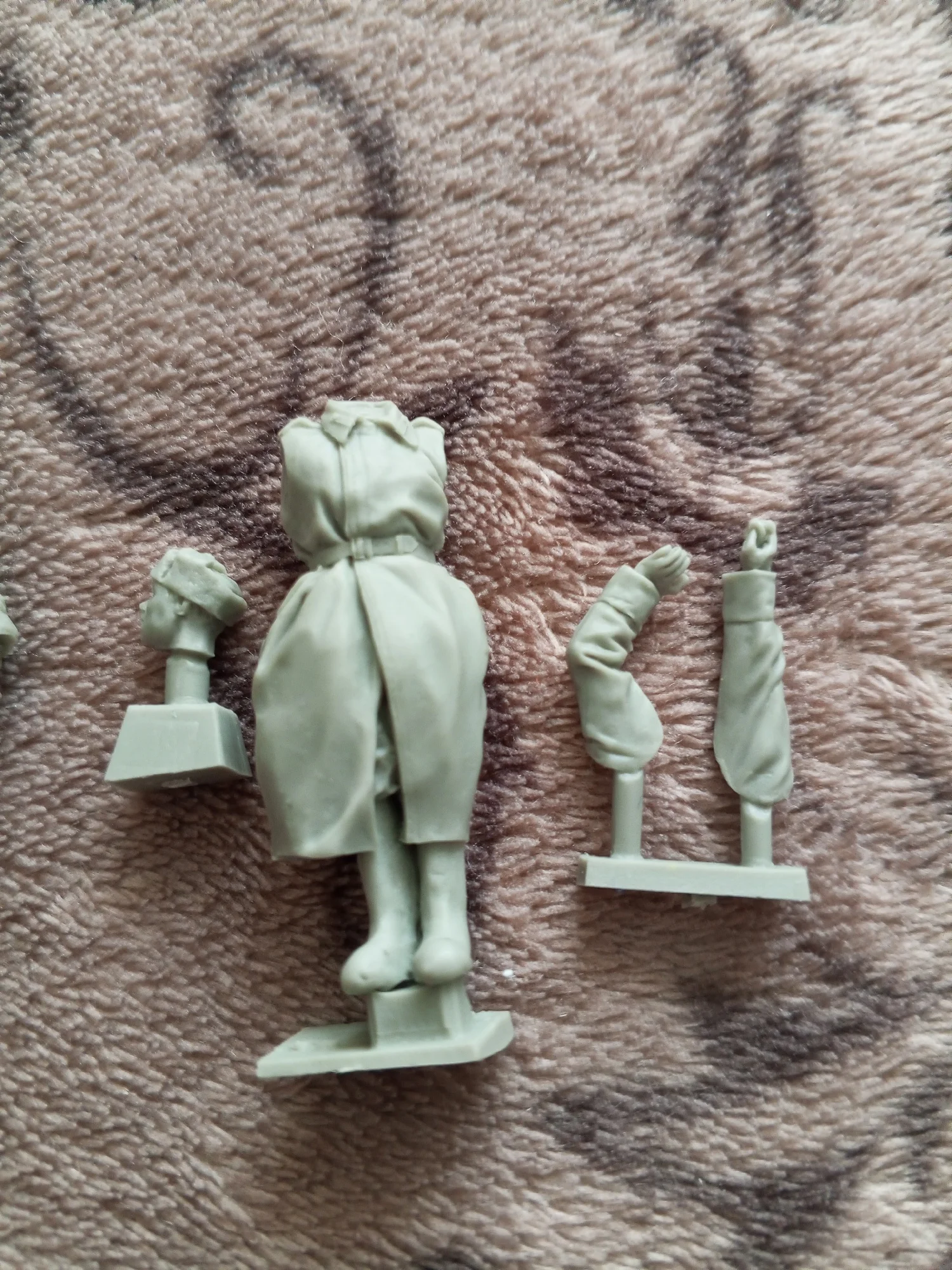 Buyer photo of this resin kit