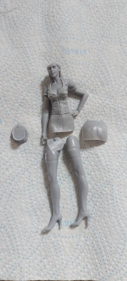 Buyer photo of this resin kit