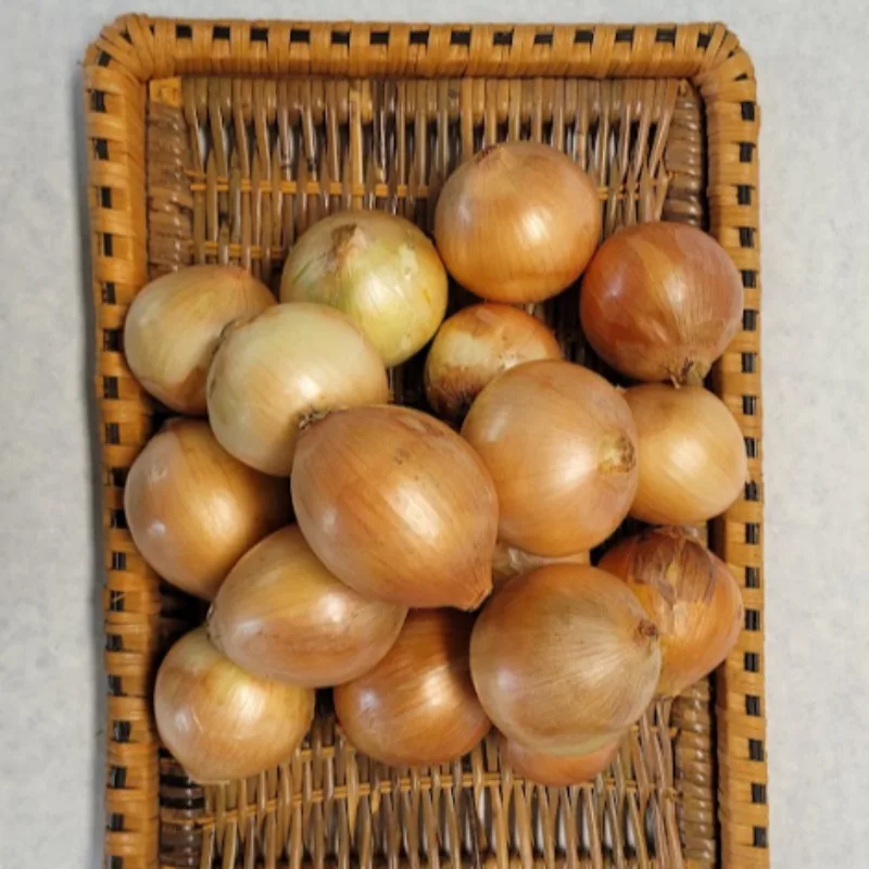 [푸디앤] 국내산 무안,신안,함평 햇 양파 정품 짱아치 1kg-10kg