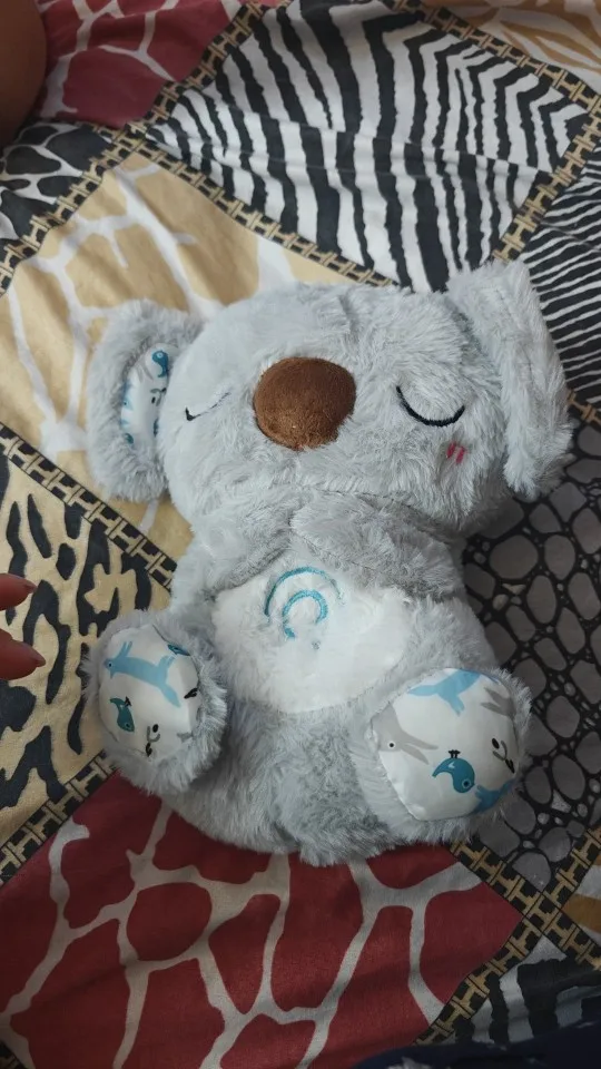 Koala Reseña 1