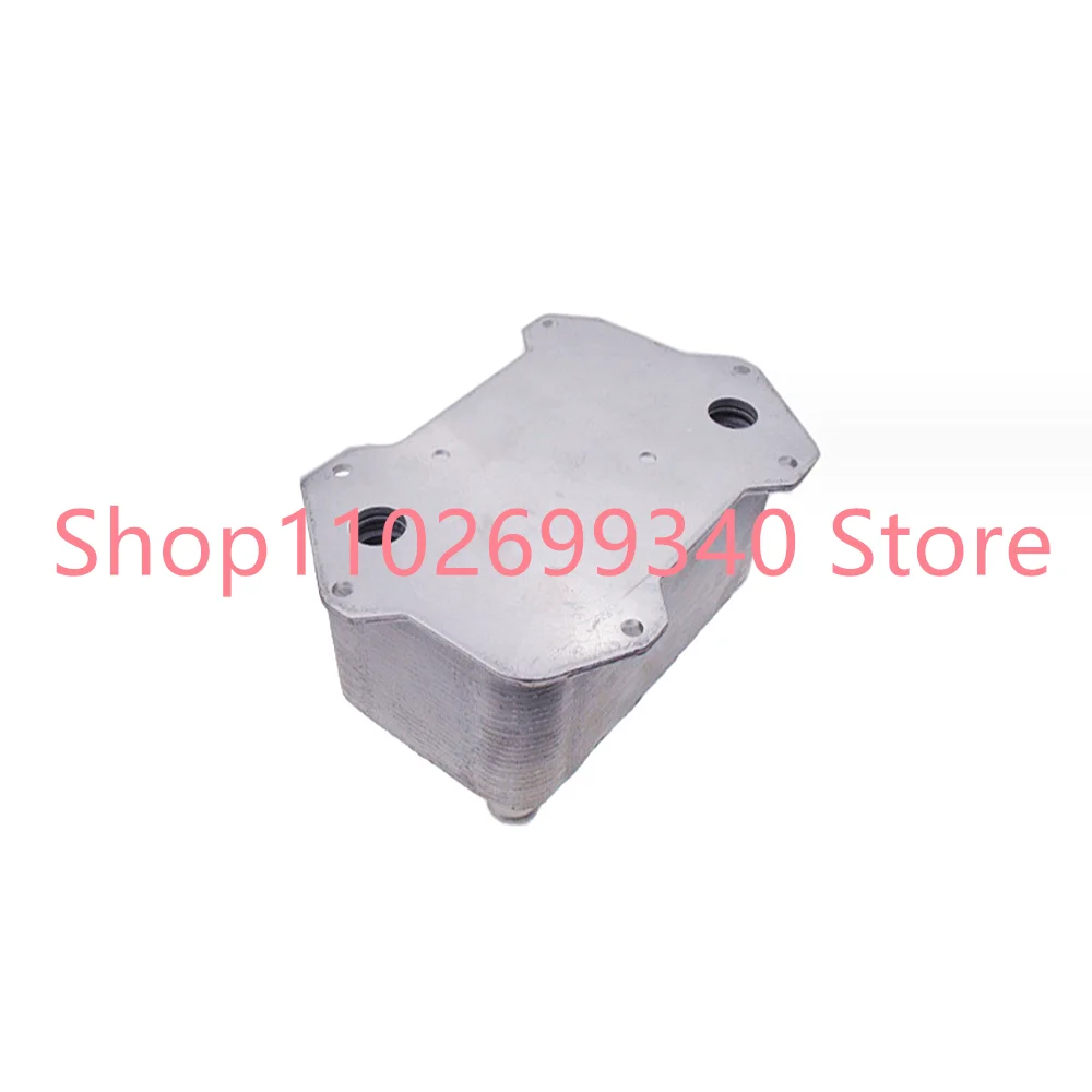 

420117022A 420117013E Engine Oil Cooler Radiator For VOLKSWAGEN VW AUDI