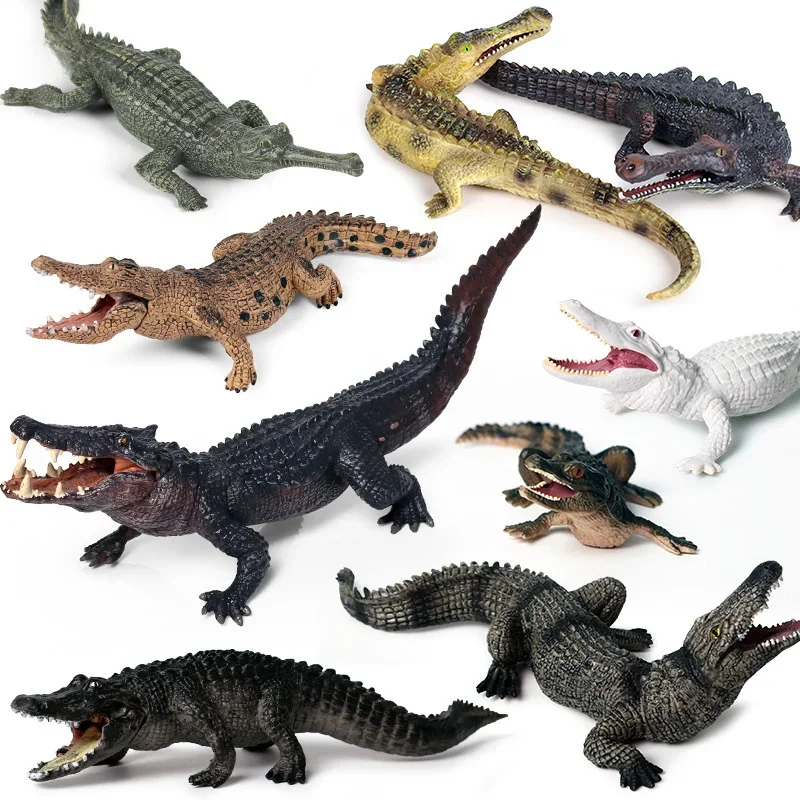 Oenux animaux sauvages figurines Simulation Sarcosuchus crocodiles sanglier modèle PVC Collection décorer enfants jouet éducatif