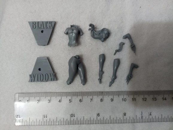 Buyer photo of this resin kit