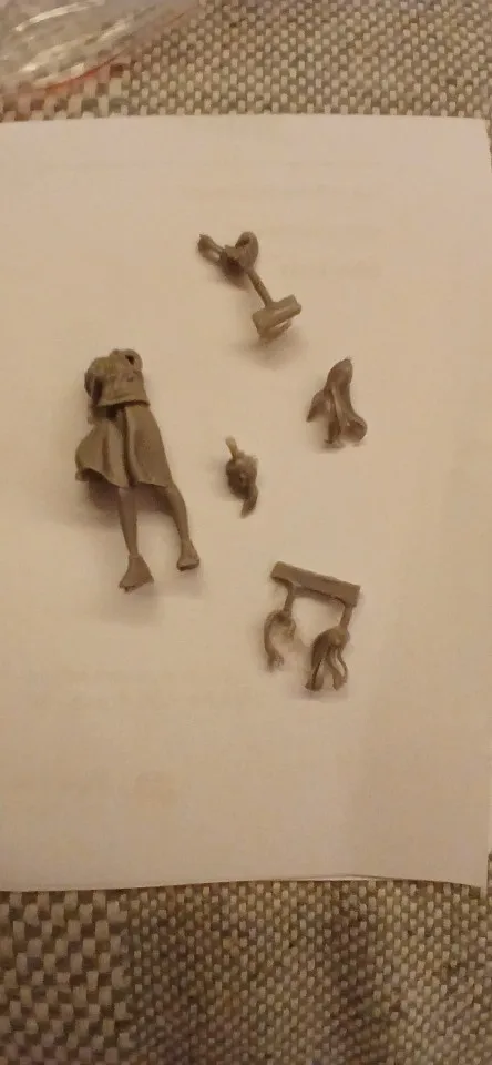 Buyer photo of this resin kit