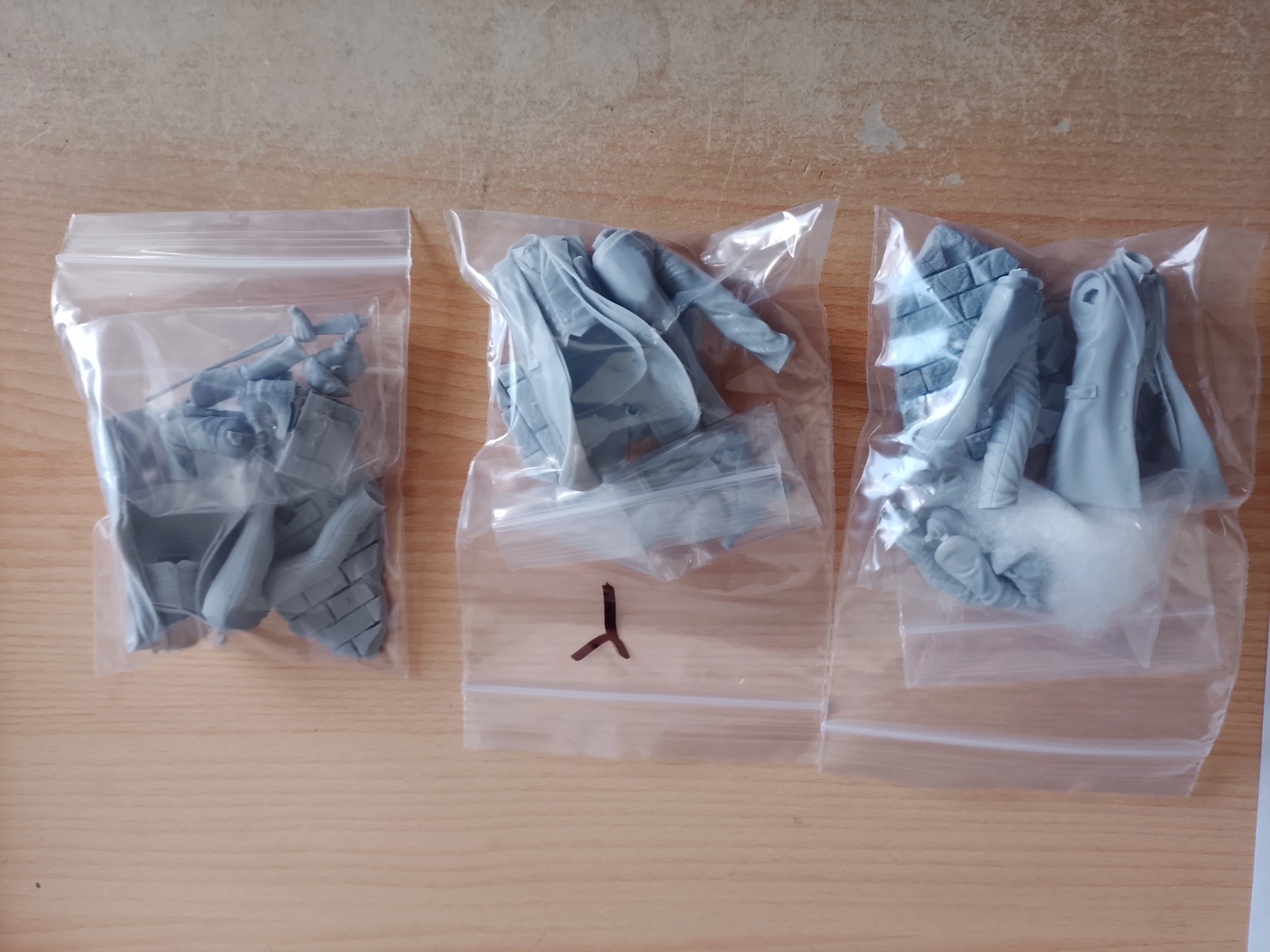 Buyer photo of this resin kit
