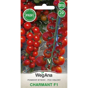 8ベストセールス野菜シード-6