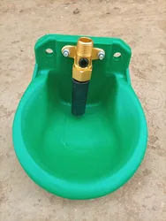 Imagen de reseña 3