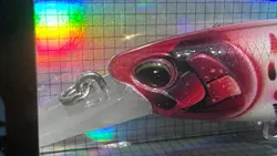 Imagen de reseña 5
