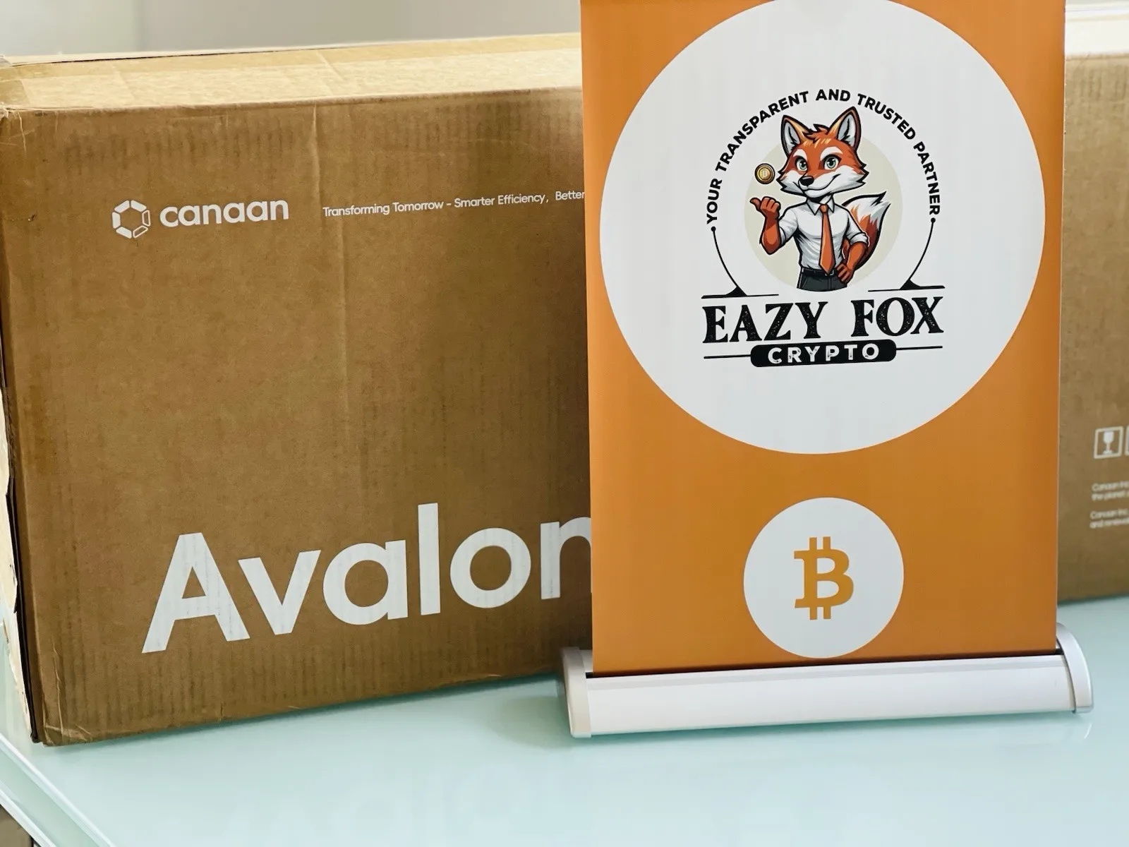 

WA Avalon Mini 3 - Radiator & Bitcoin Miner 37.5 TH