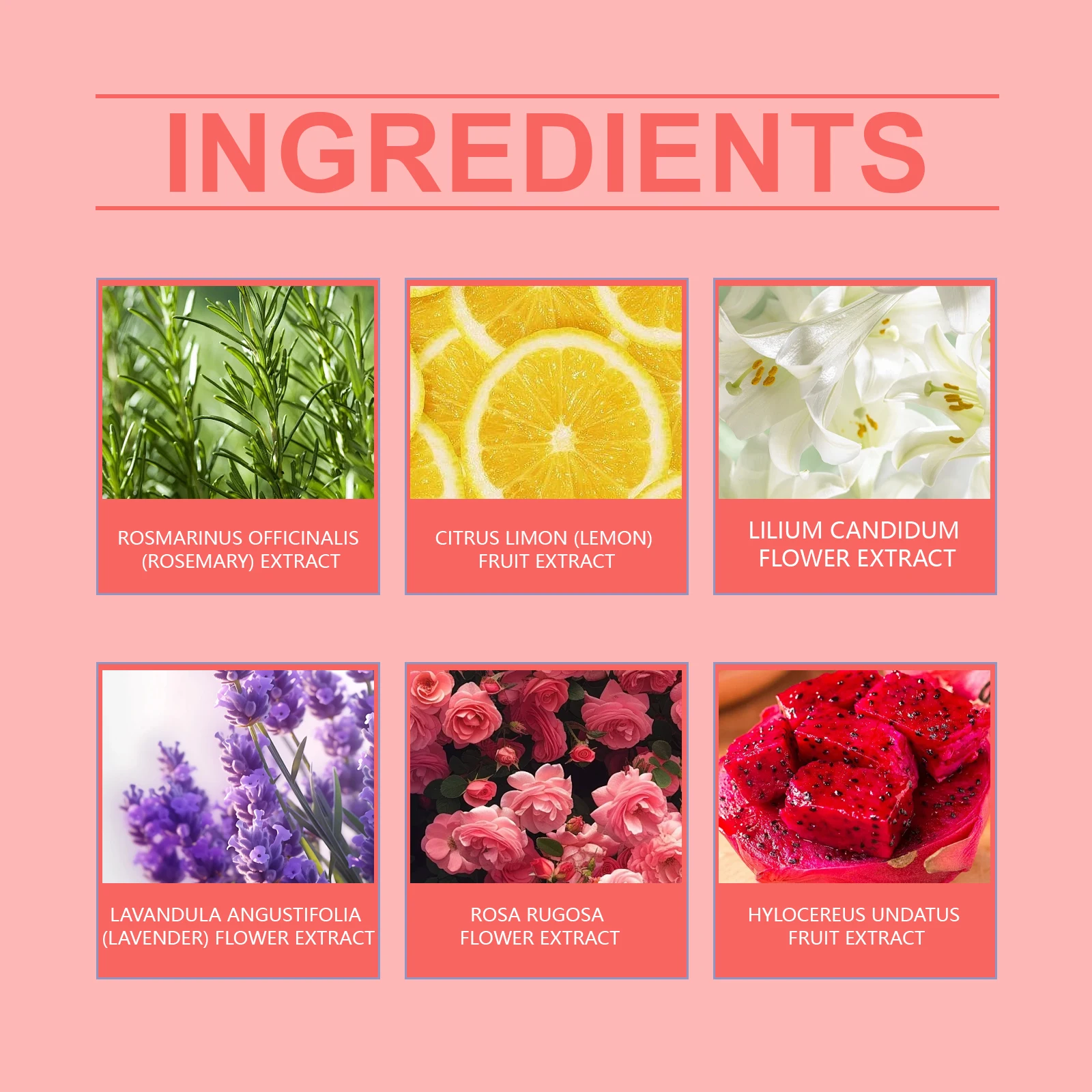 Oceaura 6pcs Fragrance Bath Bombs Nourish Moisturizing Skin Stress Relief Body Natural Kid Wash Spa Exfoliating Skin Shower Ball #4