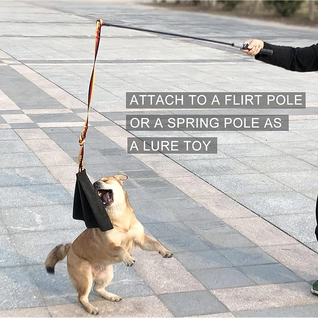 Interactive Dog Flirt Pole 2
