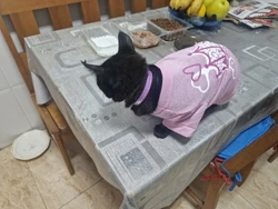 Imagen de reseña 2