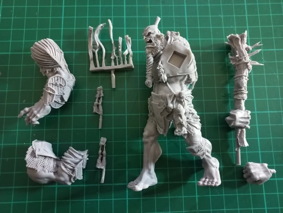 Buyer photo of this resin kit