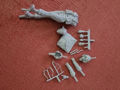 Buyer photo of this resin kit