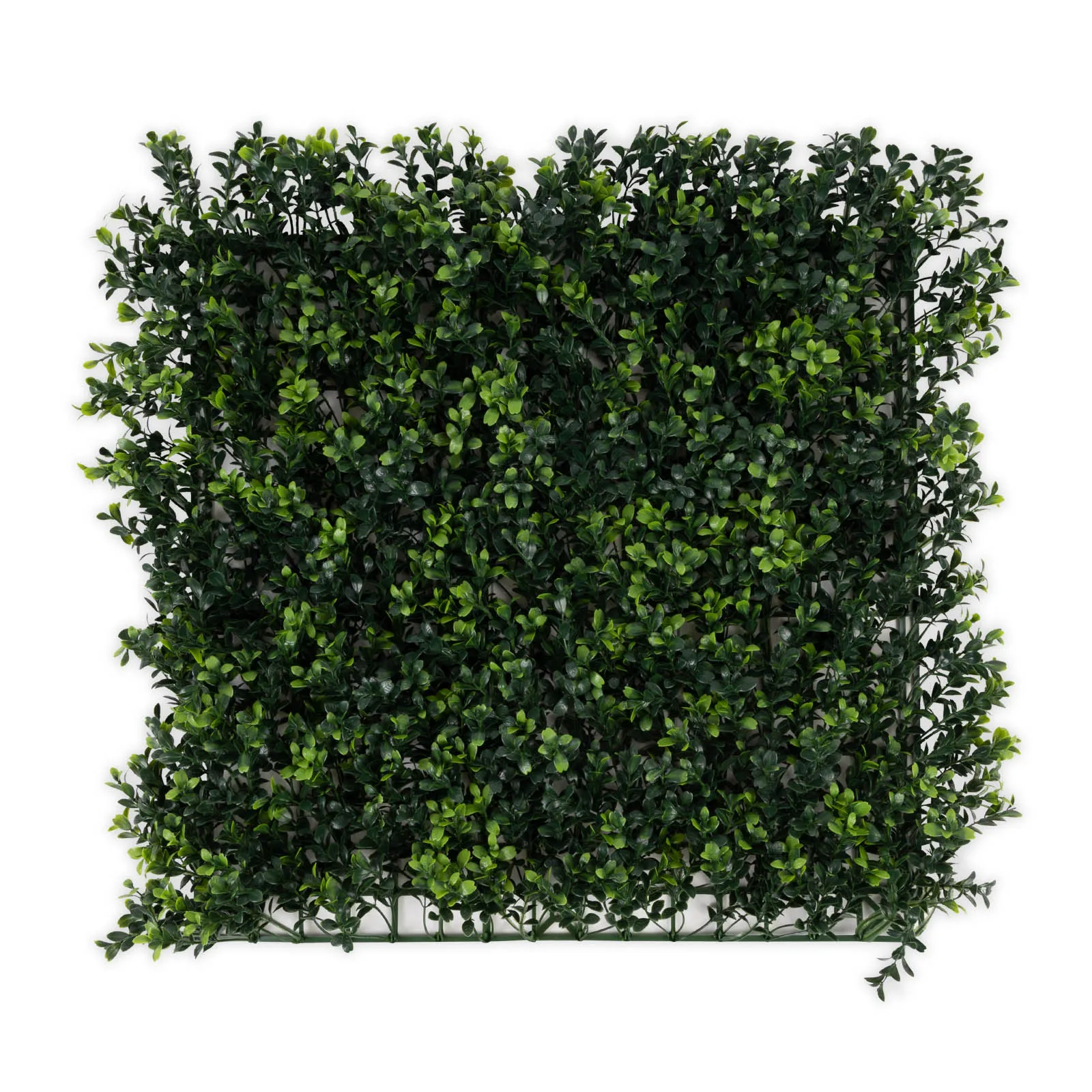 Künstliche Pflanzenwand 50x50 cm UV-beständig für Wand & Decke Sichtschutz Garten Balkon Terrasse Innen Außen Wandbegrünung Dekoration Pflegeleicht – Boxwood