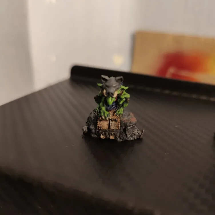 Buyer photo of this resin kit
