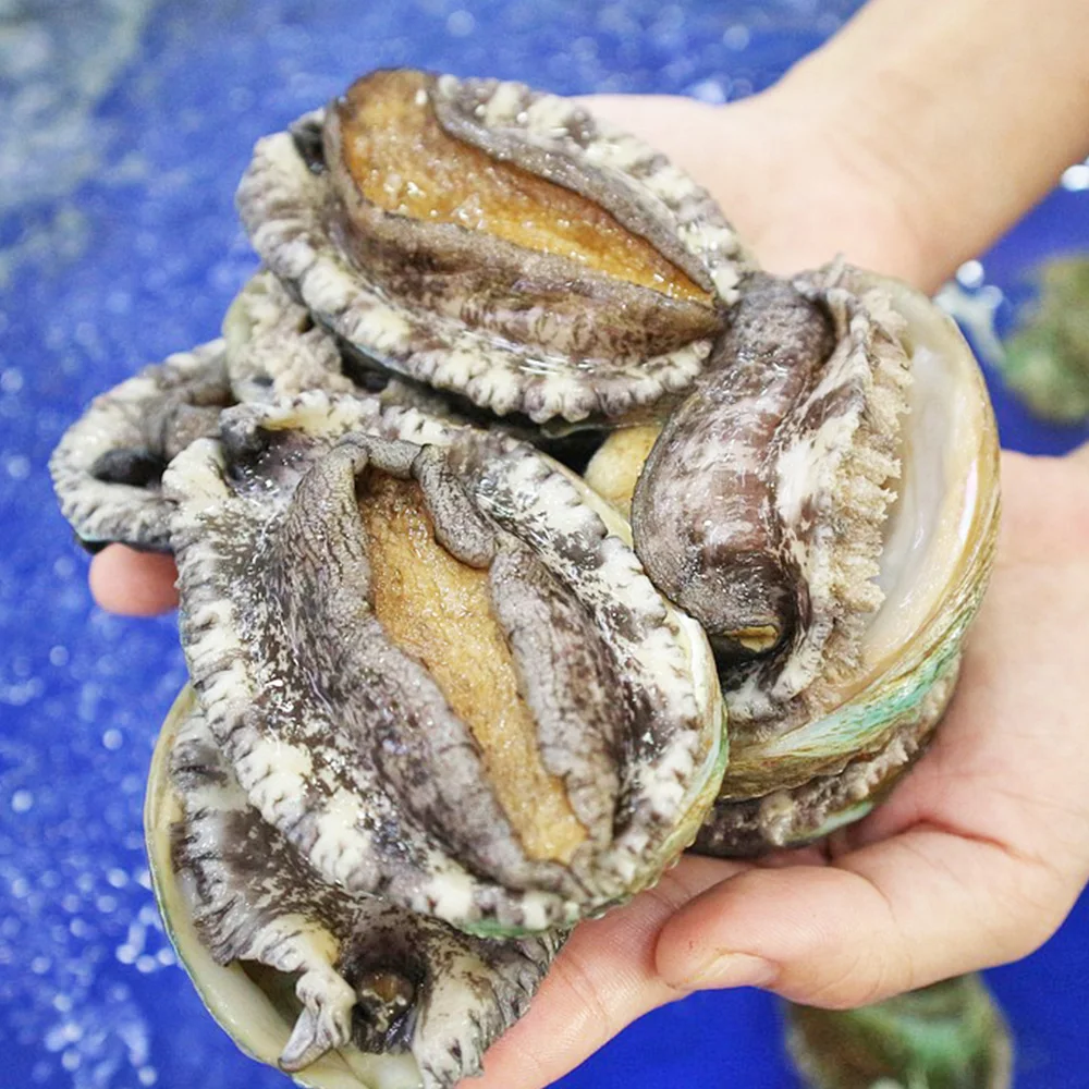 미다몰 그곳에가면 국내산 완도 활 전복 21-25미내외 1kg 소