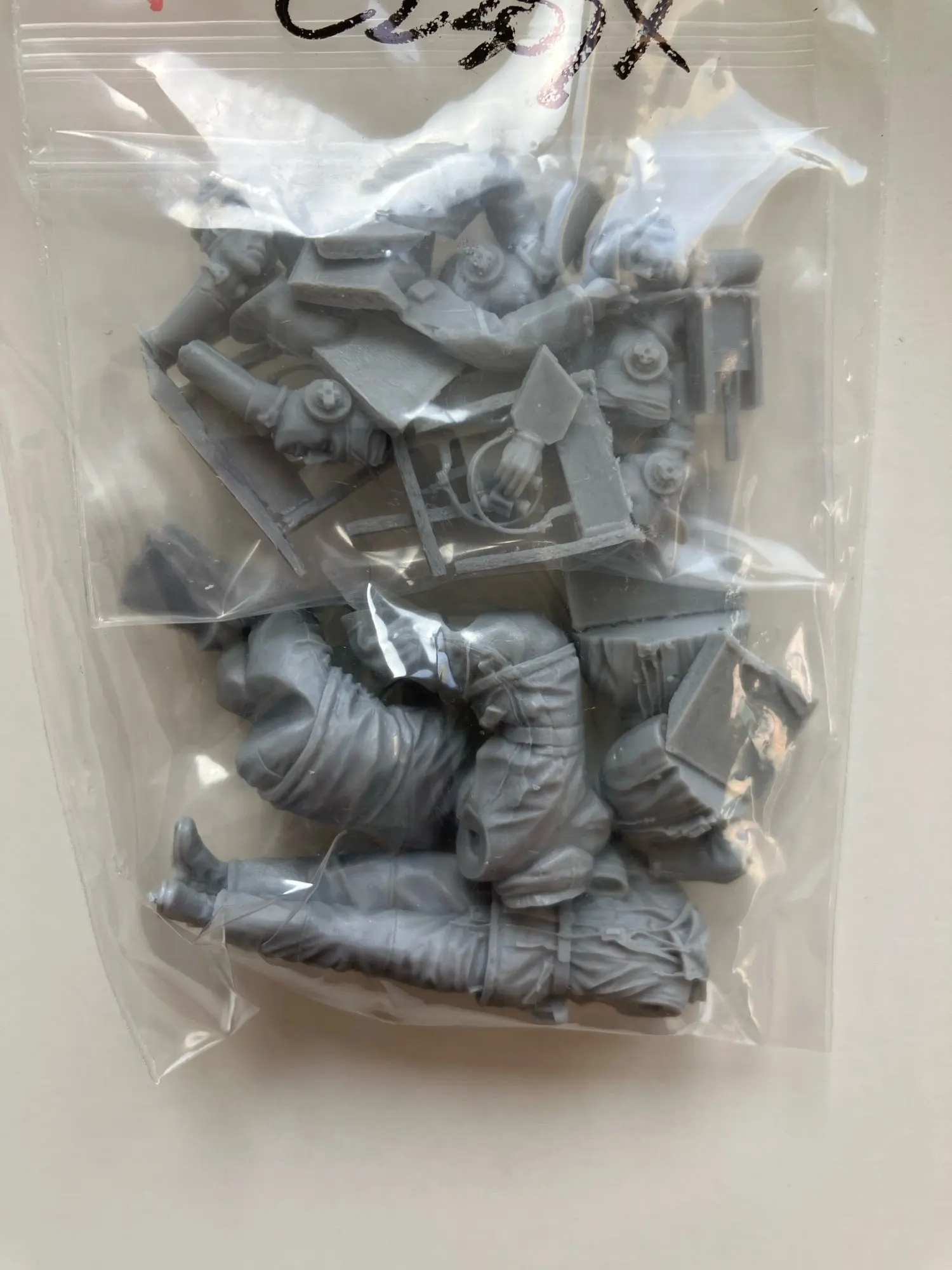 Buyer photo of this resin kit