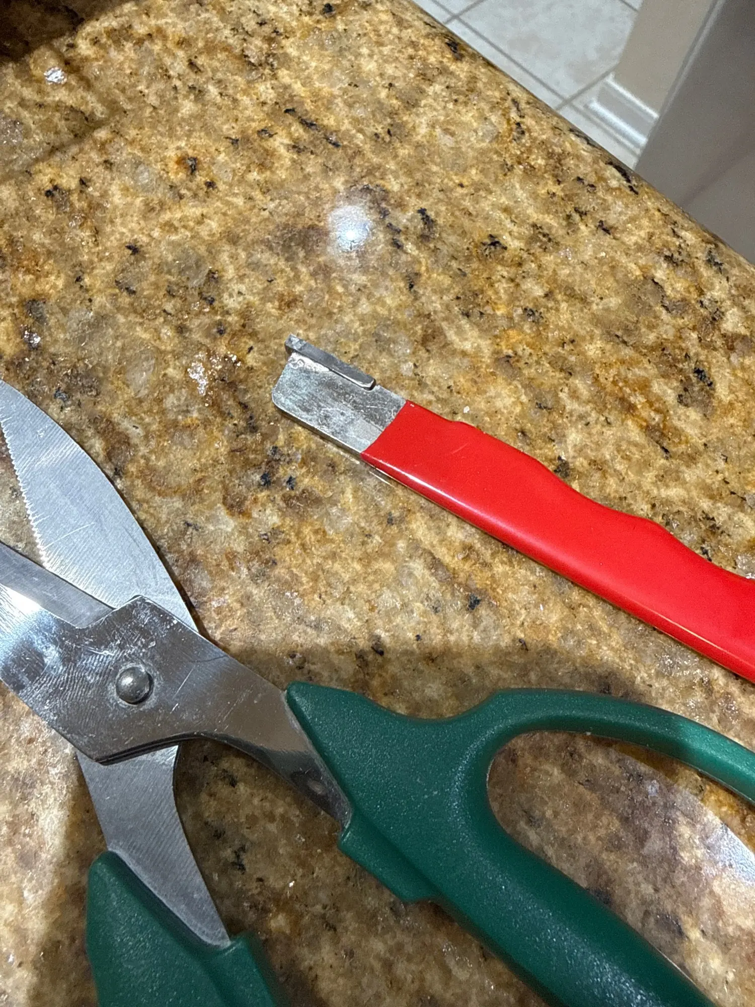Customer review photo