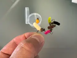Imagen de reseña 1