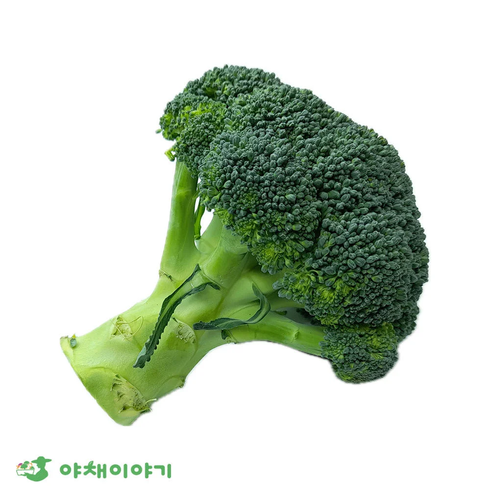 Vegetable story fresh domestic live broccoli 2kg special vegetables