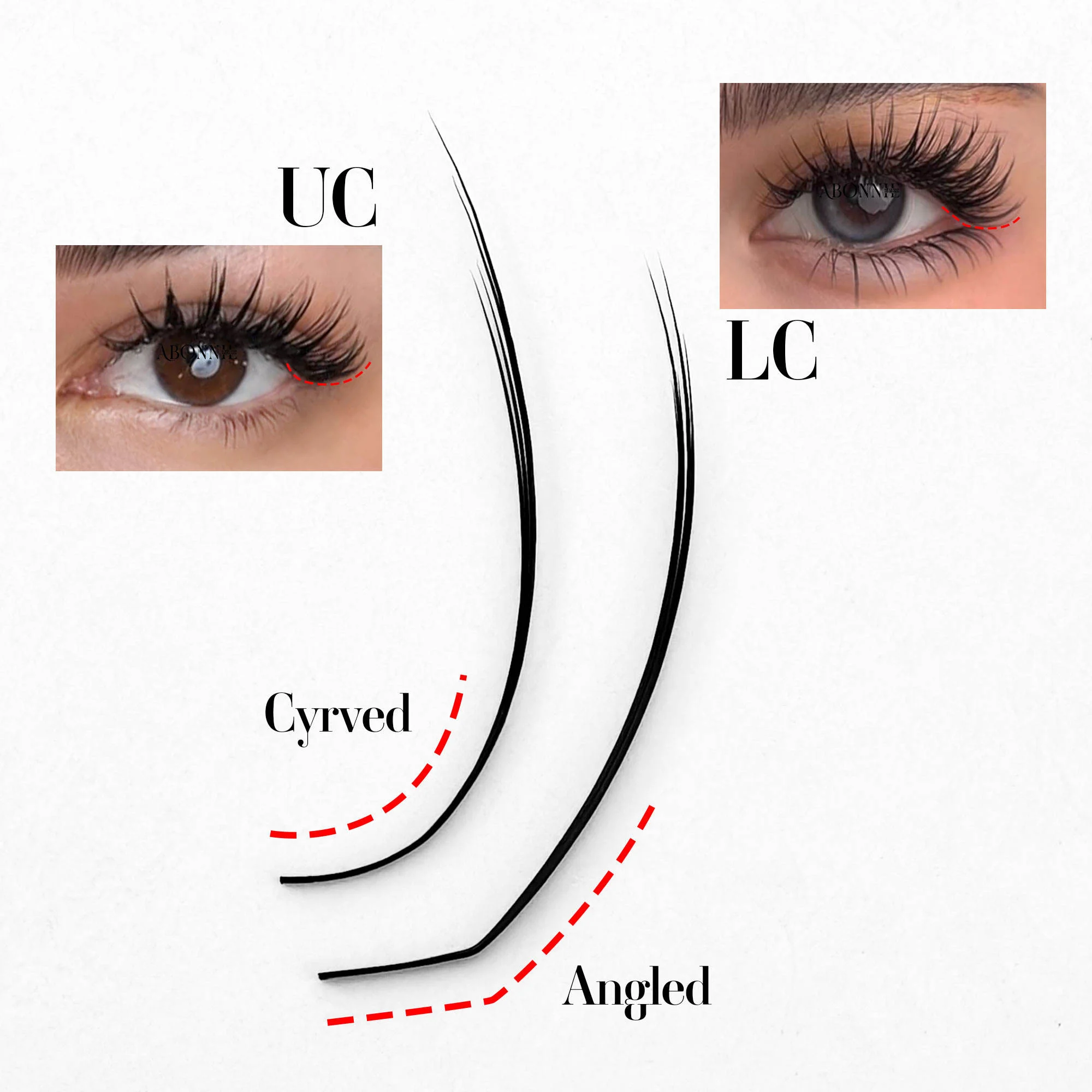 Abonnie Camellia Lashes Vorgefertigte UC UB UJ Curl Russian Volume Fächerwimpern Spikes Lash Manhua Lashes Wispy Set Mehrschichtige Wimpern