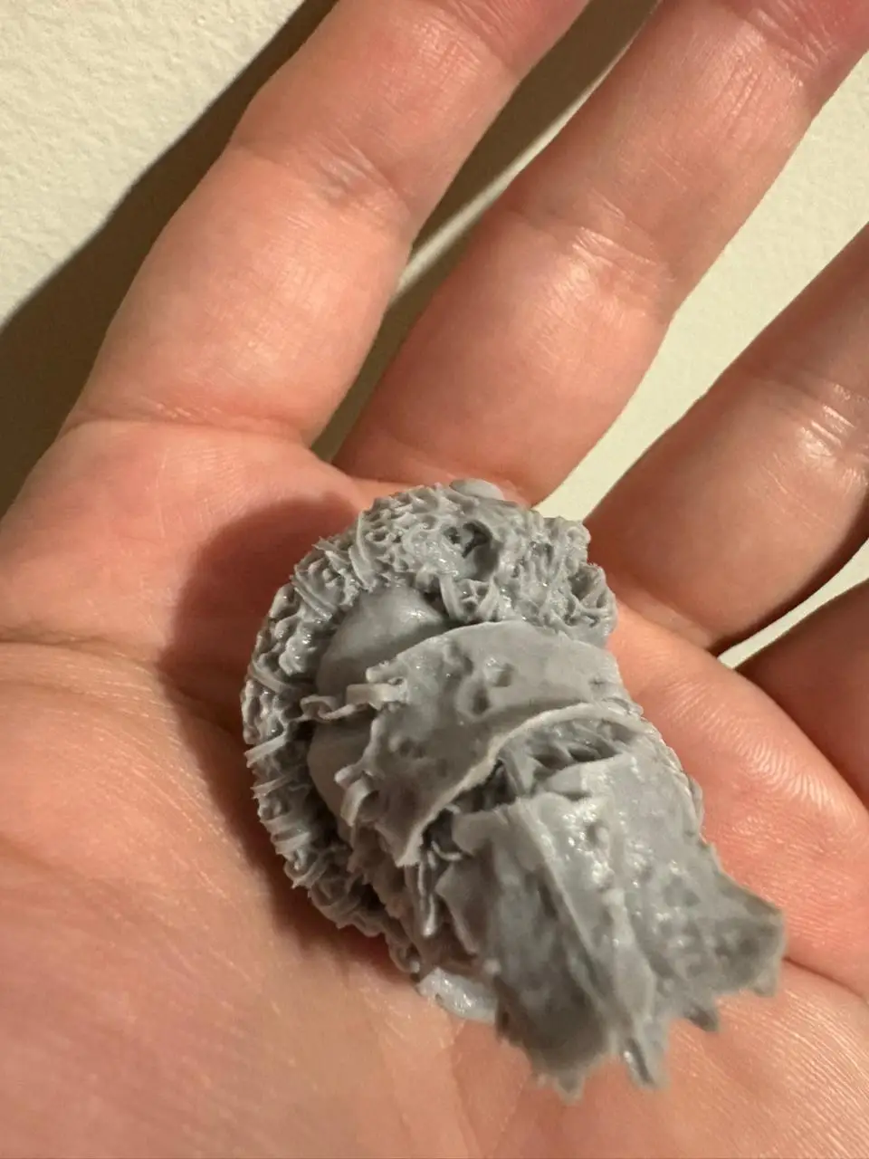 Buyer photo of this resin kit