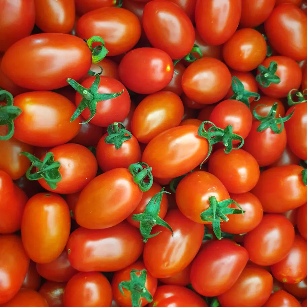 [Sanseongmyeul] Tomates Dattwal Nacionales 2kg 5kg