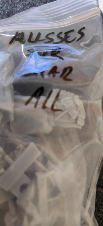 Buyer photo of this resin kit