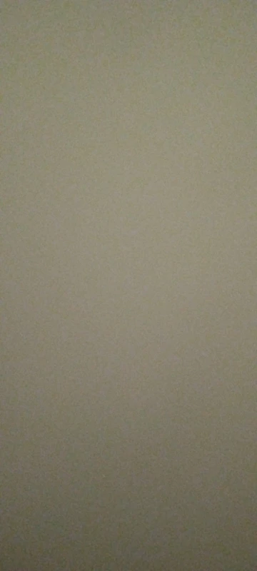 실물 포토 리뷰