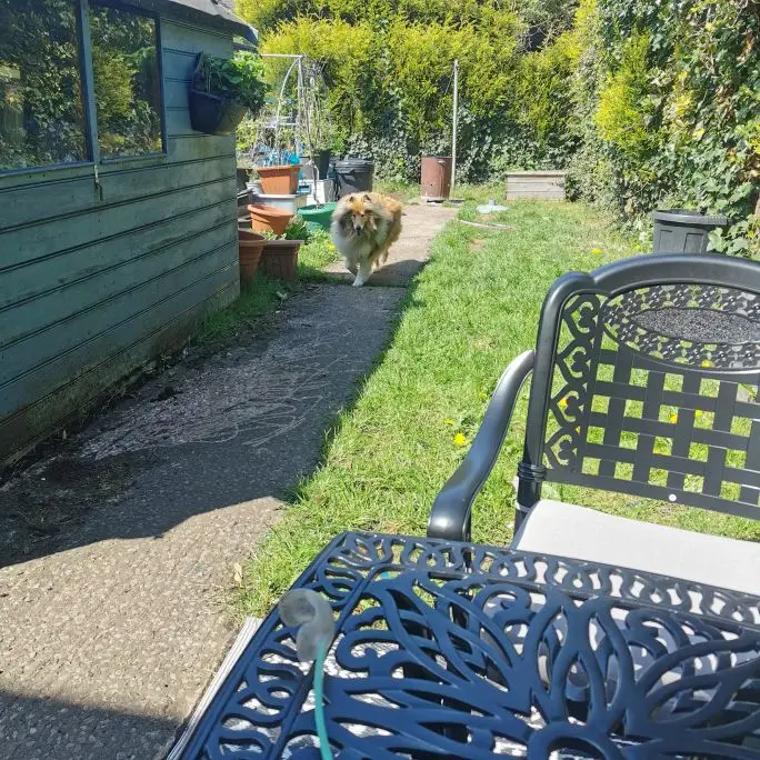 Outdoor Bistro Table and Chair Furniture Set , Square Cast Aluminum Outdoor Bistro Table, Chairs with Cushions photo review