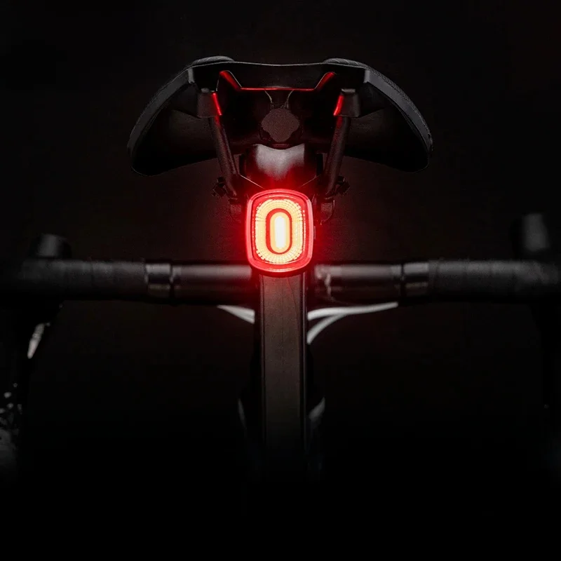 AliExpress ROCKBROS Smart Bicycle Brake Light IPx6 Taillight Type-C Bike Tail Rear Light Auto Stop LED Riding Warning Safety Cycling Light