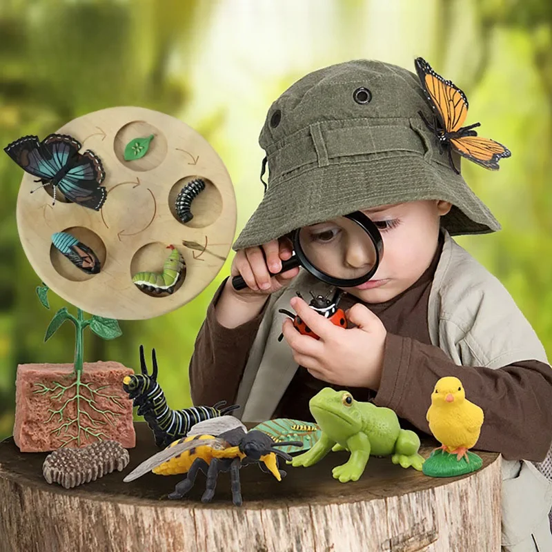 AliExpress UK Children Simulation Biology Model Toy Animal Plant Life Growth Cycle Montessori Children Toys Set