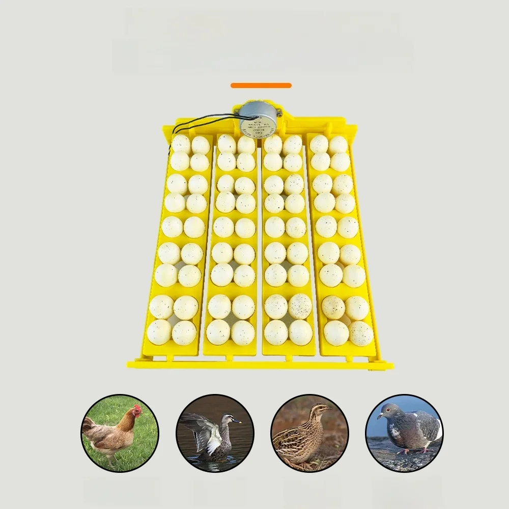Incubateur d'œufs automatique 16/24, moteur d'incubateur, plateau tournant, équipement d'incubation de volaille, dispositif d'incubation de ferme