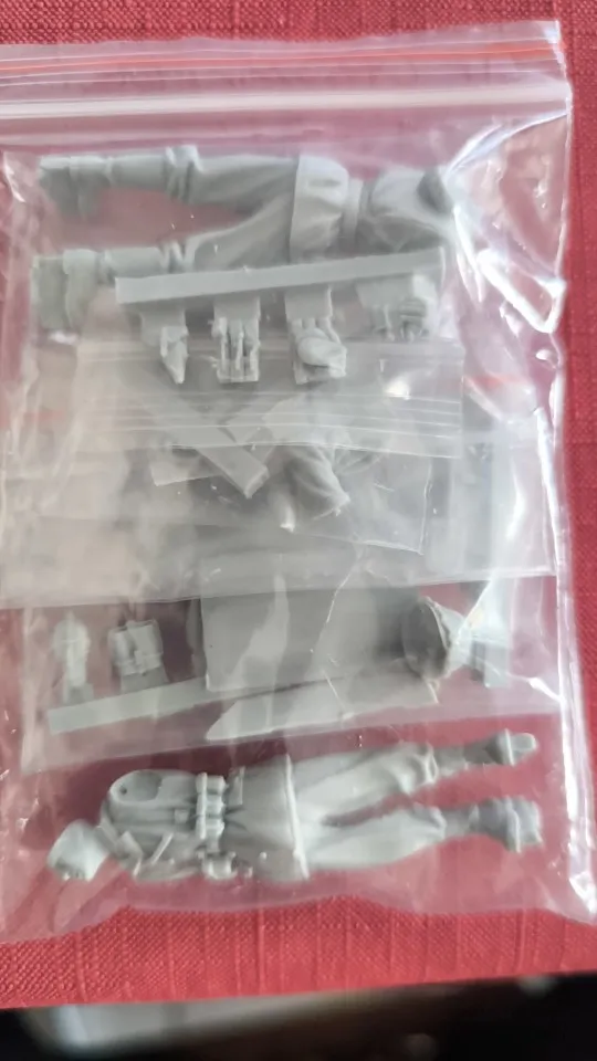 Buyer photo of this resin kit