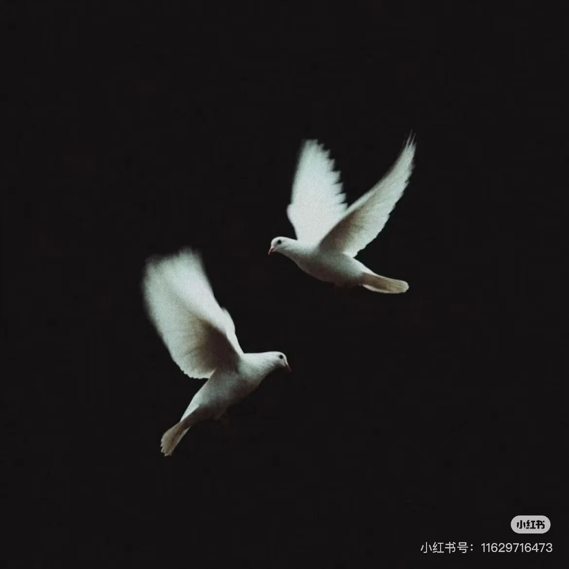 

High Quality Hydro Diamond Dermabrasion Water Facial Machine Portable Microdermabrasion Oxygen Injector Machine