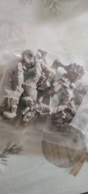Buyer photo of this resin kit